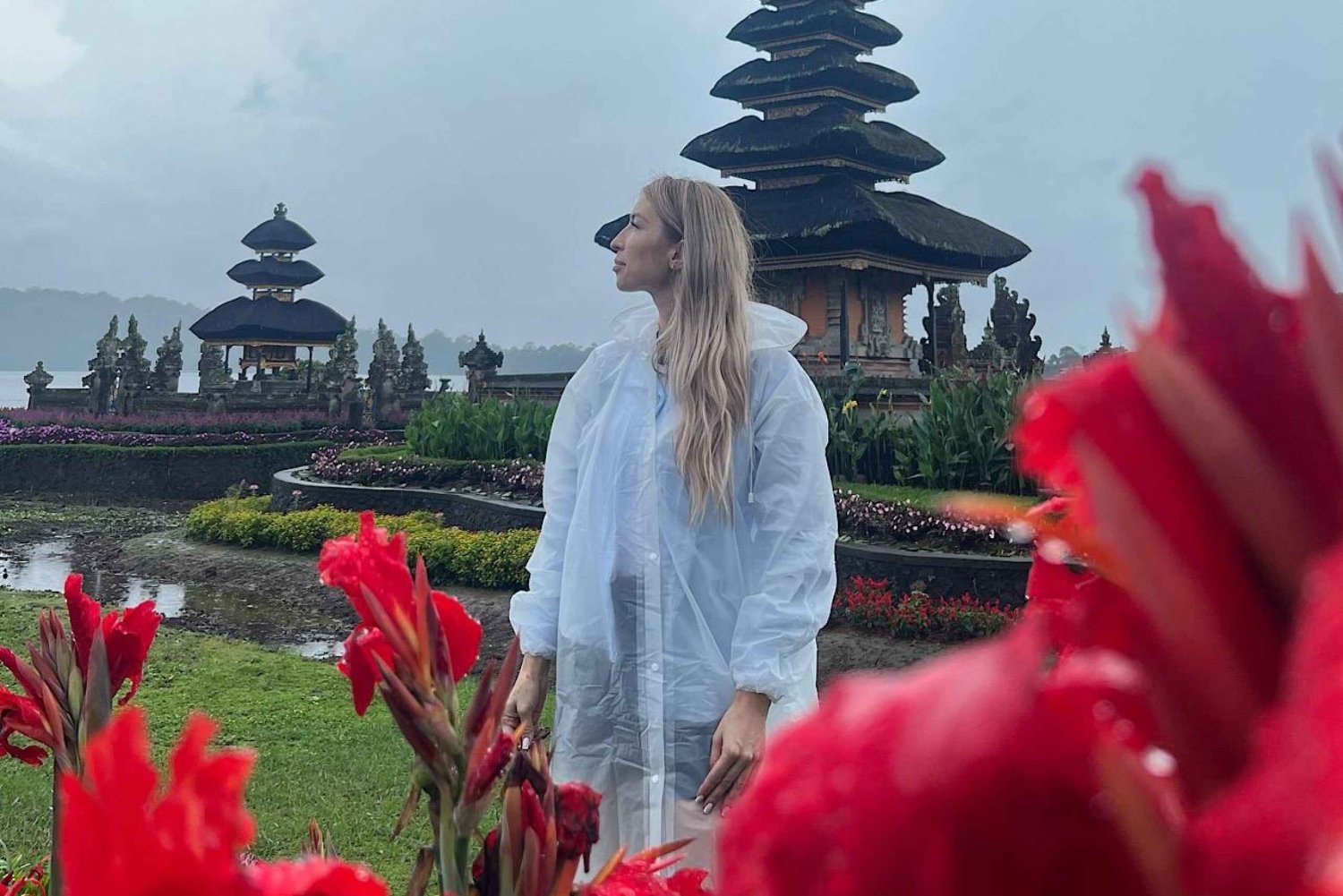 Noord-Bali: Prachtige dagvullende tour naar het beroemde noorden van Bali