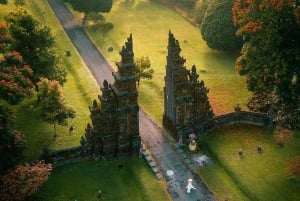 Norra Bali : Underbara norra Bali berömda heldagstur