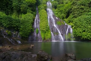 Bali: Bratan-järvi, Handaran portti, vesiputous & keinu