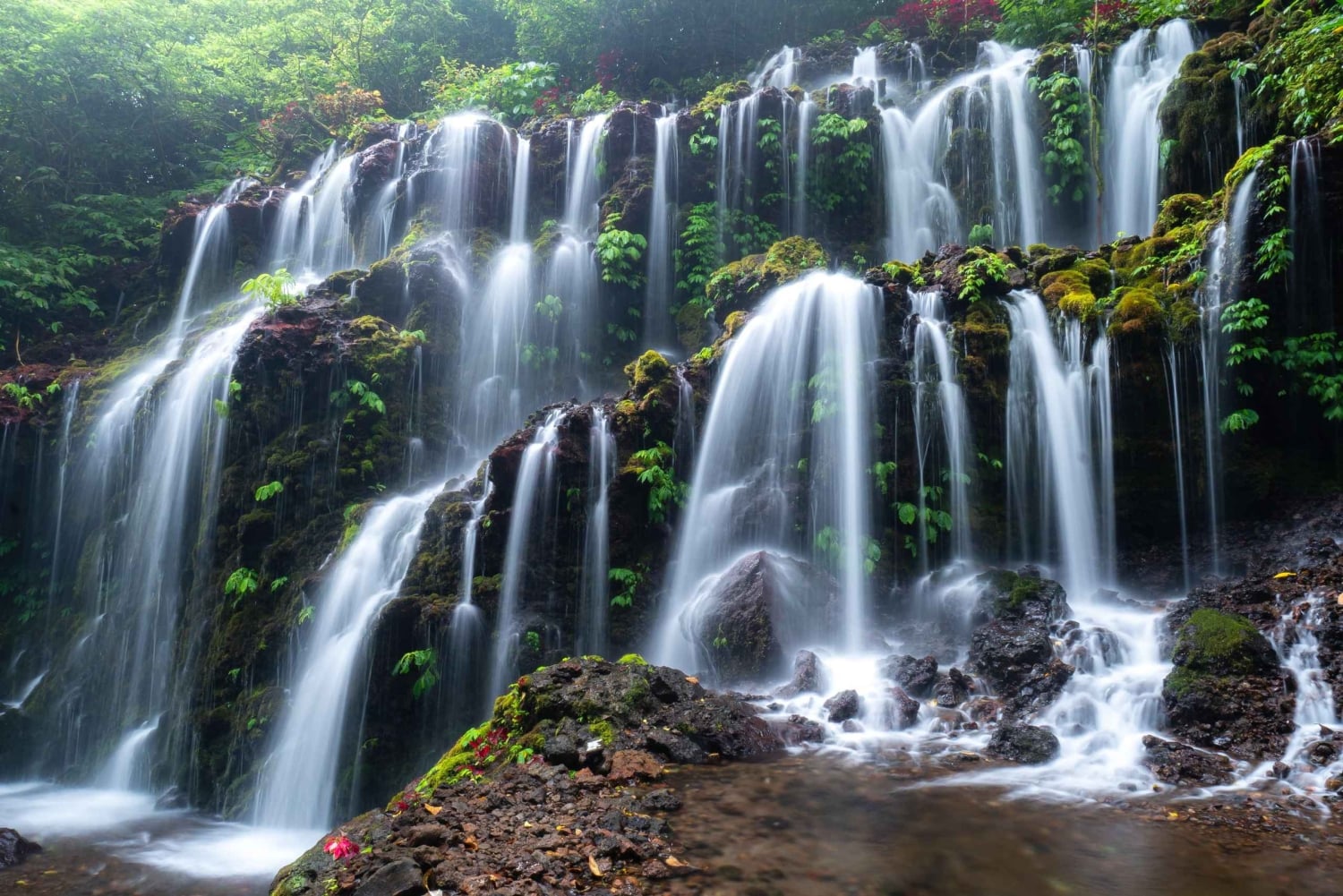 Nungnung Waterfall & Jatiluwih Rice Fields Tour