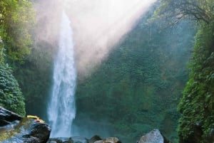 Nungnung Waterfall & Jatiluwih Rice Fields Tour