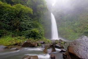 Nungnung Waterfall & Jatiluwih Rice Fields Tour