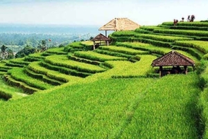 Nungnung Waterfall & Jatiluwih Rice Fields Tour