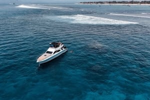 Nusa Dua: Udflugt med luksusyacht og koralfiskeri ved solnedgang