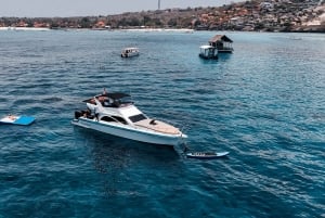 Nusa Dua: Udflugt med luksusyacht og koralfiskeri ved solnedgang