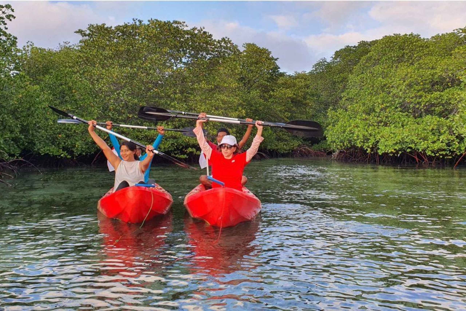 Nusa Dua: Suwung Mangrove Glass Bottom Boat Tour