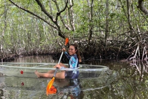Nusa Dua: Suwung Mangrove Glass Bottom Boat Tour