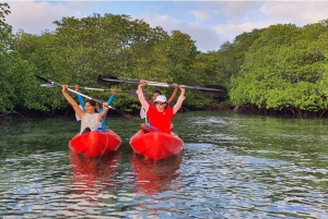 Nusa Dua: Suwung Mangrove Glass Bottom Boat Tour