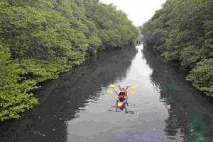 Nusa Dua: Suwung Mangrove Glass Bottom Boat Tour
