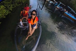 Nusa Dua: Suwung Mangrove Glass Bottom Boat Tour