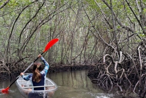 Nusa Dua: Suwung Mangrove Glass Bottom Boat Tour