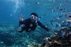 Nusa Dua: Watersports Packages and Turtle Conservation Tour