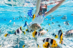 Nusa Dua: Watersports Packages and Turtle Conservation Tour