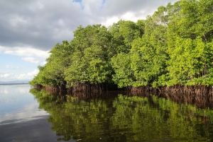 Nusa Lembongan Island: Snorkeling & Mangrove Forest Day Tour