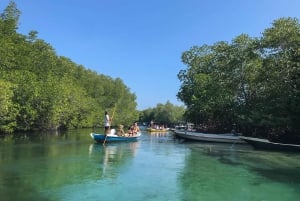 Nusa Lembongan Mangrove- och ötur