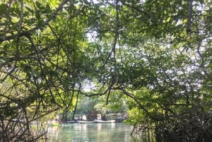 Nusa Lembongan Mangrove- och ötur