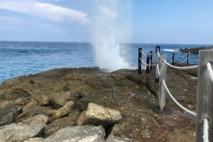 Nusa Lembongan Mangrove- och ötur