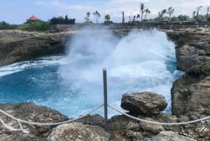 Nusa Lembongan Mangrove- och ötur