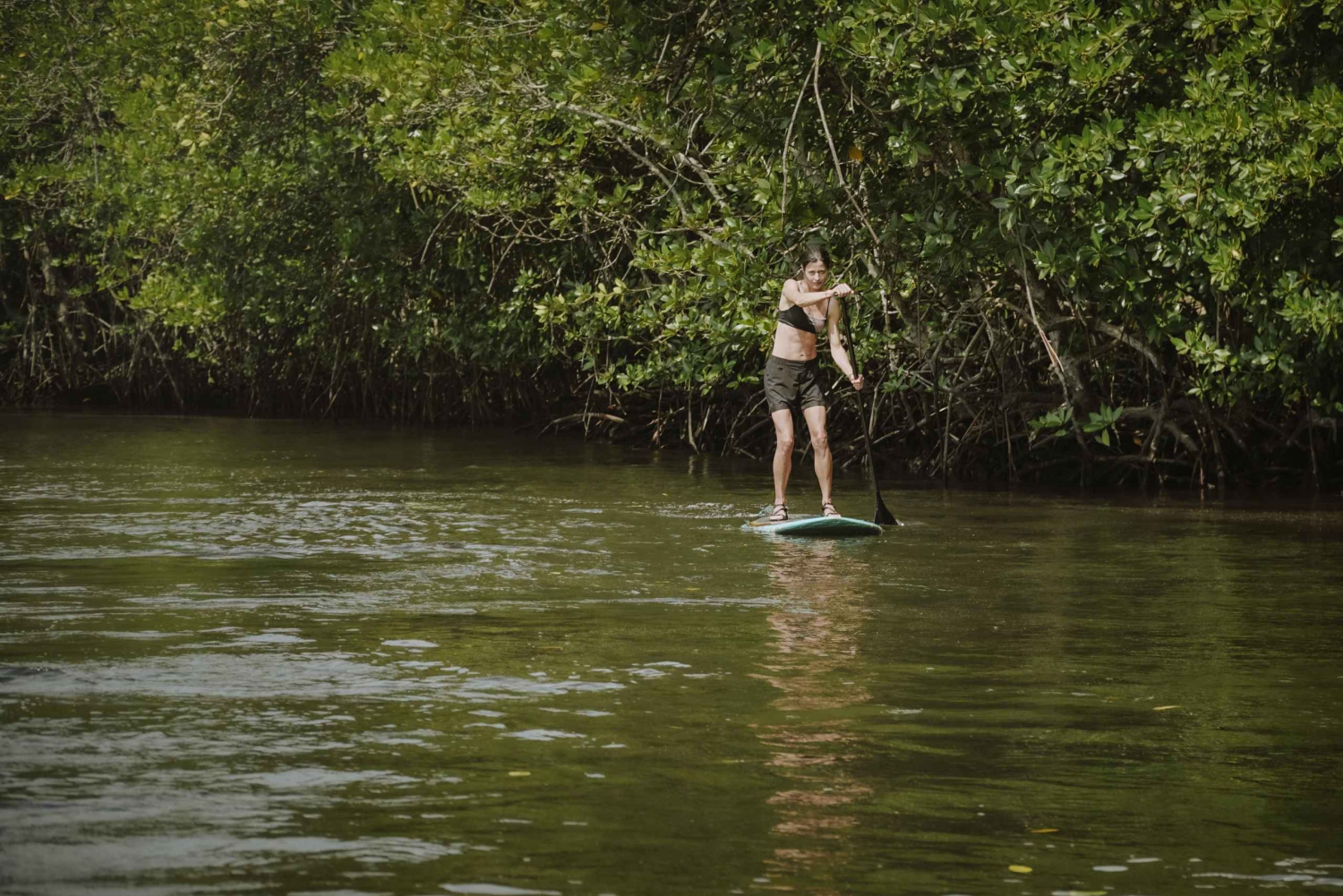 Nusa Lembongan: Mangrove-kajak eller paddleboard-eventyr