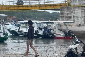 Nusa Lembongan: Schnellboot-Transfer nach Nusa Penida