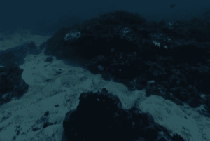 Nusa Lembongan: duiktocht met mantarog en maanvis