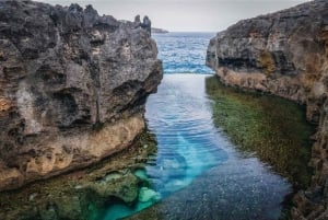 Nusa Penida: Day Trip East & West with Transfer