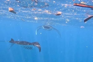 Нуса-Пенида: ранний утренний снорклинг и экскурсия по острову