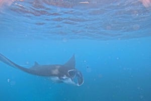 Нуса-Пенида: ранний утренний снорклинг и экскурсия по острову