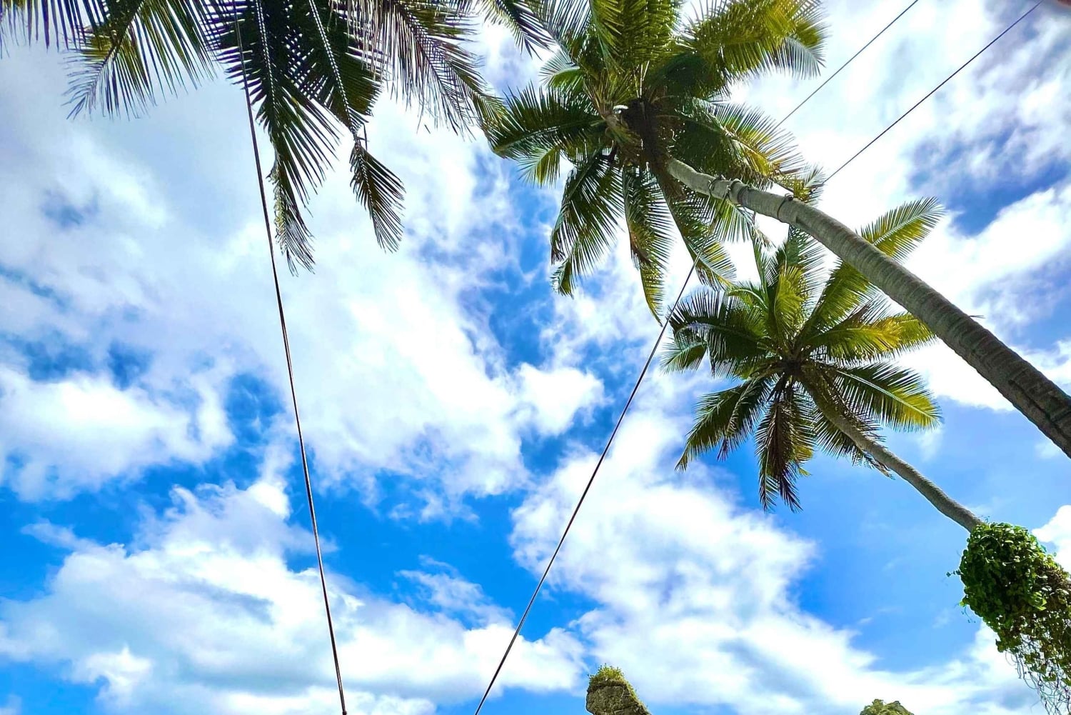 Nusa Penida: East Island Private Tour with Tree House