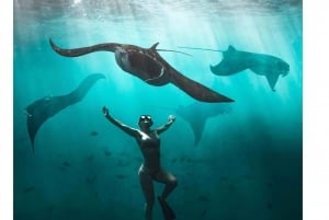 Nusa Penida : visite d'une jounée de 4 spots de plongée avec masque et tuba et de la terre de l'Ouest