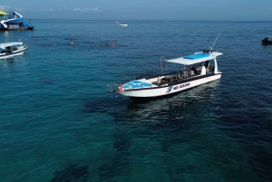 Nusa Penida: Full Day Private Snorkeling With Manta Ray