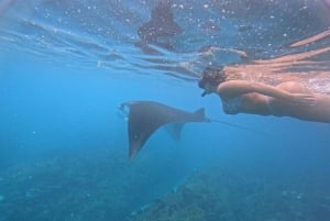 Nusa Penida: Full Day Private Snorkeling With Manta Ray