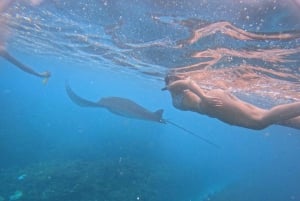 Nusa Penida: Full Day Private Snorkeling With Manta Ray