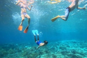 From Bali: Nusa Penida Full Day Tour and Snorkeling