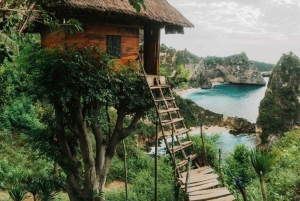 Nusa Penida: Full Day Tour with Snorkeling all Includes