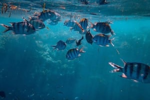 Nusa Penida: Full Day Tour with Snorkeling all Includes