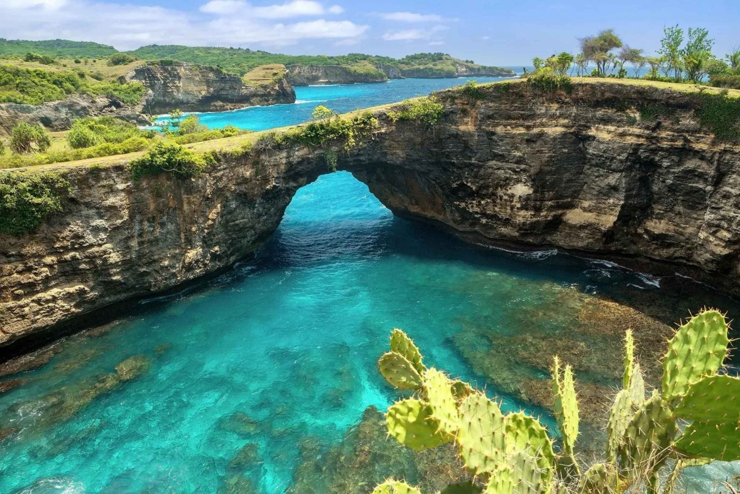 Nusa Penida Full-Day Tour with Transfer from Bali