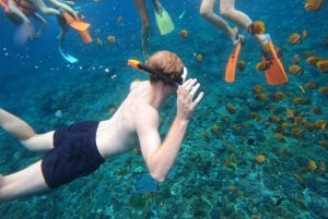 Nusa Penida: Guided Snorkel and Swim with Manta Rays Cruise