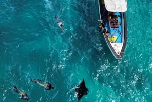 Nusa Penida: Guided Snorkel and Swim with Manta Rays Cruise