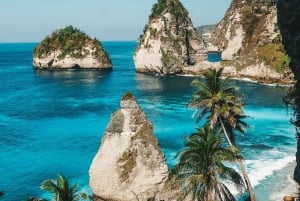 Nusa Penida: Guyangan, piscina di Tembeling e altri pacchetti Penida