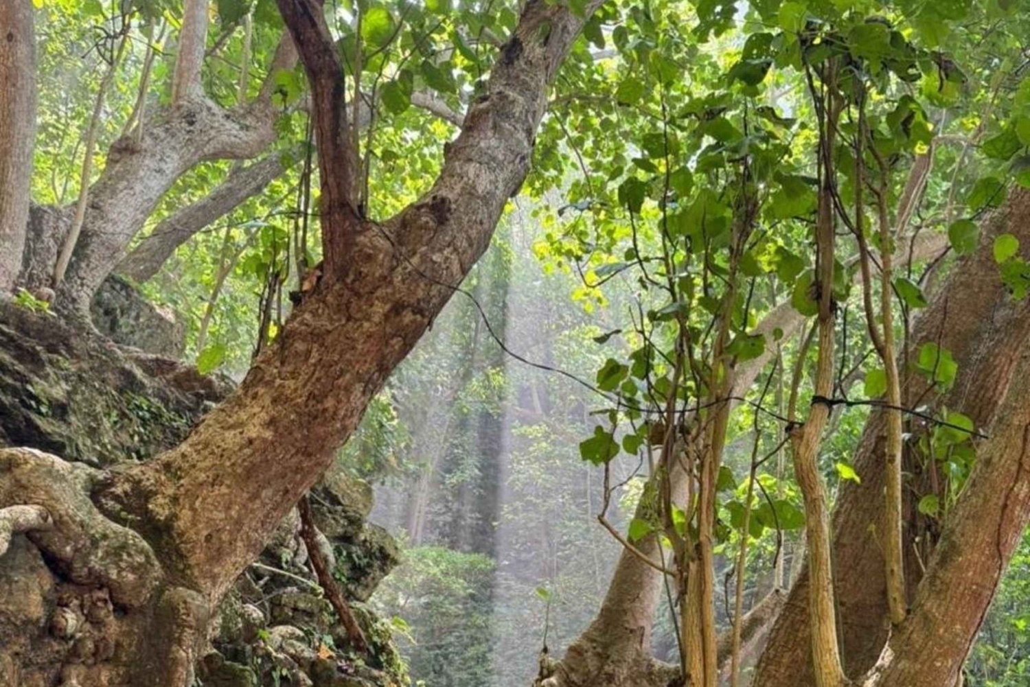 Nusa Penida Hidden Gems Adventure from Bali or Penida