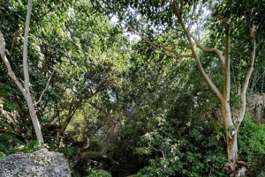 Nusa Penida Hidden Gems Adventure from Bali or Penida