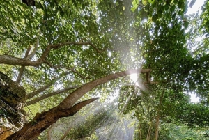 Nusa Penida Hidden Gems Adventure from Bali or Penida