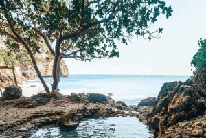 Nusa Penida Hidden Gems Adventure from Bali or Penida