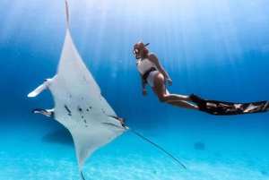 Nusa Penida: Incredible Nusa Penida Private Day Tour
