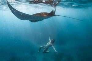 Ilha Nusa Penida: Passeio de barco para mergulho com snorkel em Manta Point