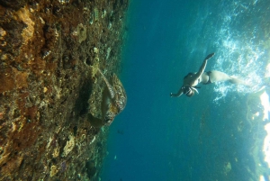 Eiland Nusa Penida: Manta Point snorkeltour per boot
