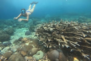 Nusa Penidan saari: Manta Pointin snorklaus ja länsirannikon kiertue