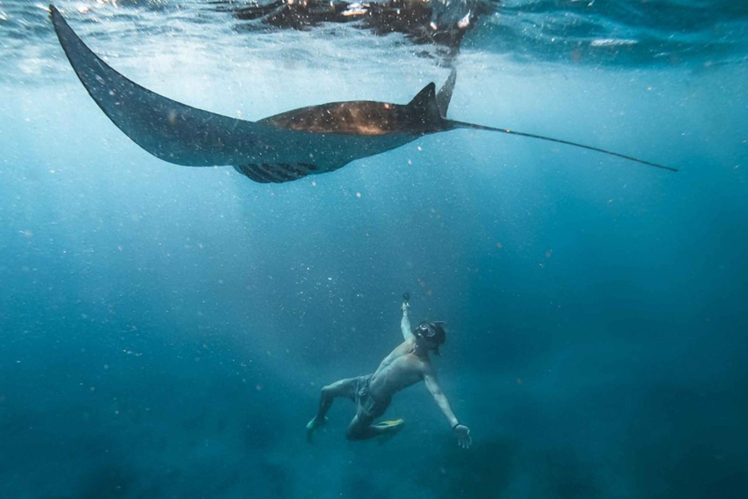 Nusa Penida: Island Tour or Snorkeling with Manta Rays