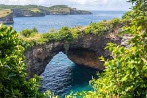 Nusa Penida: Nusa Penida All include Packages With Transfer